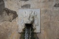 Lion face water fountain close up of the dragon channel in Bardini Garden. Florence, Italy