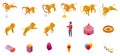 Lion fire performance icons set isometric vector. Animal acrobat