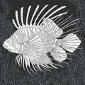 Lion-fish in black and white style Royalty Free Stock Photo