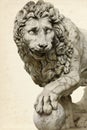 Lion in Florence Royalty Free Stock Photo