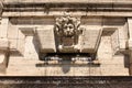 Lion Fountain Rome Italy