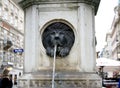 Lion fountain in Vienna