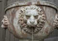 Lion fountain with water stream from lion`s mouth, Seattle Washington Royalty Free Stock Photo