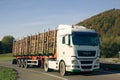 Timber truck with fur-tree logs on the highway