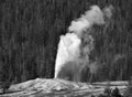 LION GEYSER ERUPTS Royalty Free Stock Photo