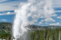 Lion Geyser Group Royalty Free Stock Photo