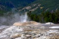 Lion Geyser erupting at Yellowstone Royalty Free Stock Photo