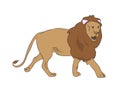 Lion goes, vector,