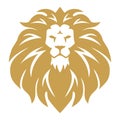 Lion Gold Golden Head Logo Vector Mascot Design Template