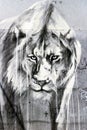Lion Graffiti Art, London