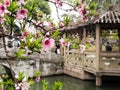 Lion Grove Garden, a classical Chinese garden and part of Unesco World Heritage in Suzhou