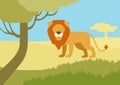 Lion habitat flat design cartoon vector wild animals Royalty Free Stock Photo