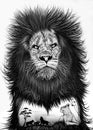 Lion Hand drawn. Animal drawing. Nature. Wildlife sketch. Tiger silhouette. - Illustration