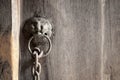 Lion head as a knocker metal handle on a old wooden door Royalty Free Stock Photo