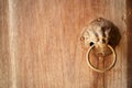 Lion head as a knocker metal handle on a old wooden door Royalty Free Stock Photo