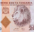 Lion head closeup on Tanzania banknote