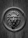 Lion head on the door, black and white Royalty Free Stock Photo