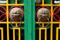 Lion Head Door Handles