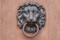 Lion head door hanger