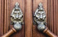 Lion Head Door knob. Old doorhandle