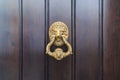 Lion head door knock on an old new wooden door in Malaga, Spain Royalty Free Stock Photo