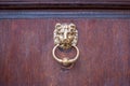 Lion head door knocker Royalty Free Stock Photo