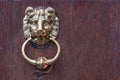 Lion head door knocker Royalty Free Stock Photo