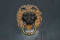 Lion head door knocker Royalty Free Stock Photo