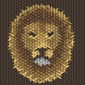 Lion head embroidery on fabric pattern