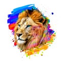 Lion head illustration color art Royalty Free Stock Photo