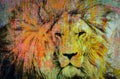 Lion head illustration color art Royalty Free Stock Photo