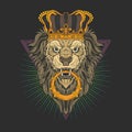 Lion head illustration vector graphic Royalty Free Stock Photo