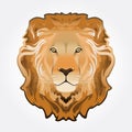 Lion head illustration Royalty Free Stock Photo
