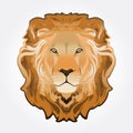 Lion head illustration