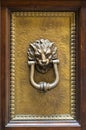 Lion head knocker on brass panel of wooden door Royalty Free Stock Photo