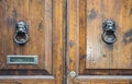 Lion head knockers on an old wooden door
