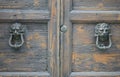 Lion head knockers on an old wooden door