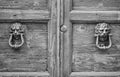 Lion head knockers on an old wooden door Royalty Free Stock Photo