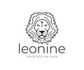 Lion head, leonine, animal, predator, nature and wildlife, logo design. Muzzle of a lion, lion face, silhouette and line style, ve