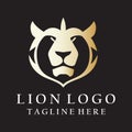 Lion head logo design