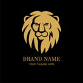 Lion head logo design template Royalty Free Stock Photo