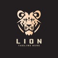 Lion head logo design vector template Royalty Free Stock Photo