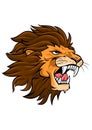 Lion Head Logo Vector Illustration Royalty Free Stock Photo