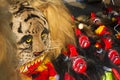 Lion head mask use on Reog Ponorogo performance