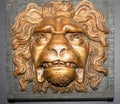 Lion head