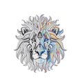 lion head patterned Royalty Free Stock Photo