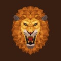 Lion head polygon geometric, Vector illustration Royalty Free Stock Photo