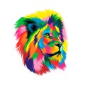 Lion head portrait from multicolored paints. Splash of watercolor, colored drawing, realistic Royalty Free Stock Photo