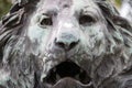 Lion head sculpture close up Royalty Free Stock Photo