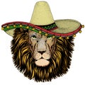 Lion head. Sombrero mexican hat. Wild animal portrait. Face of african cat.